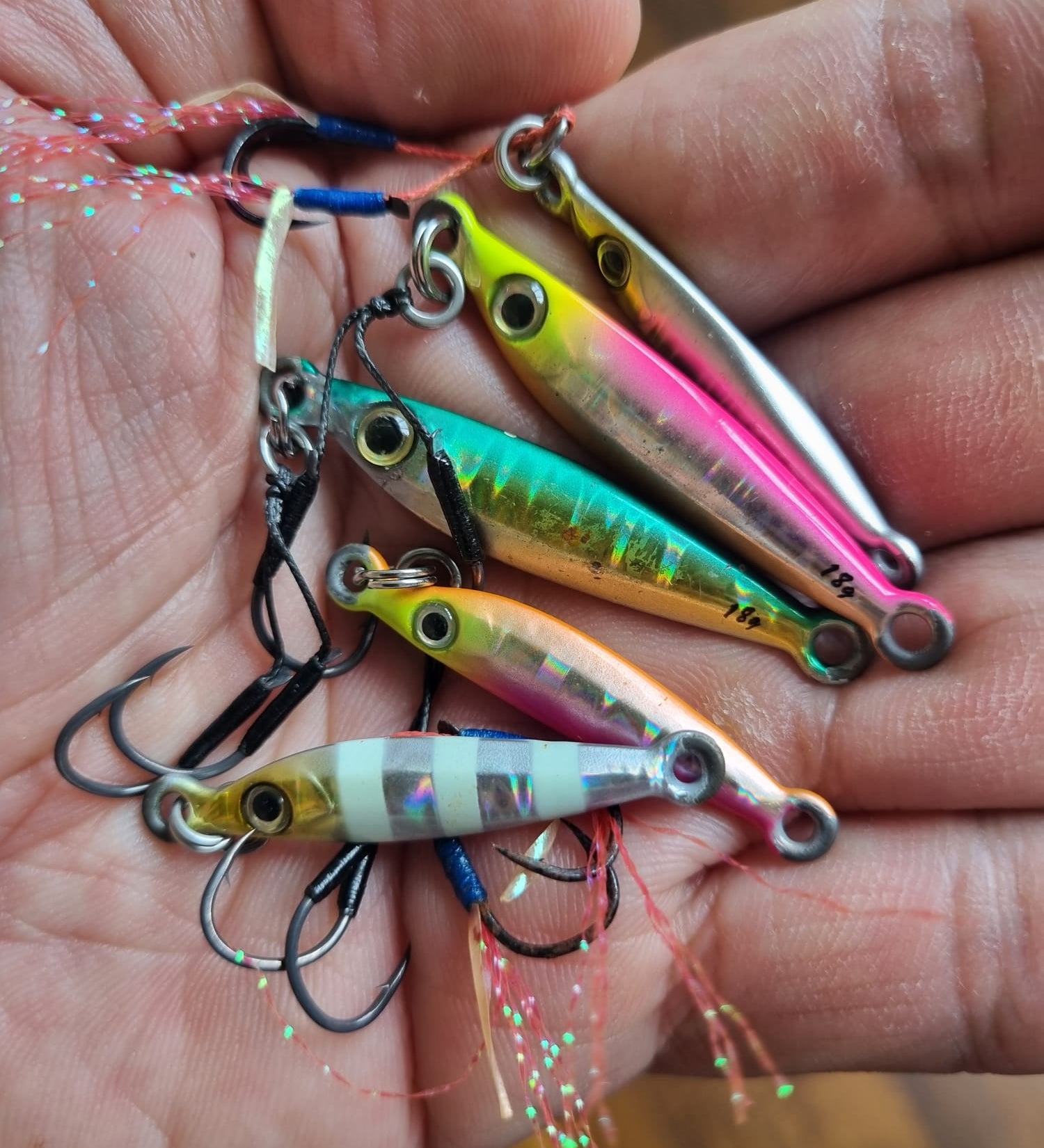 handful of chilli padi