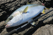 Ripple Fisher Monster Impact