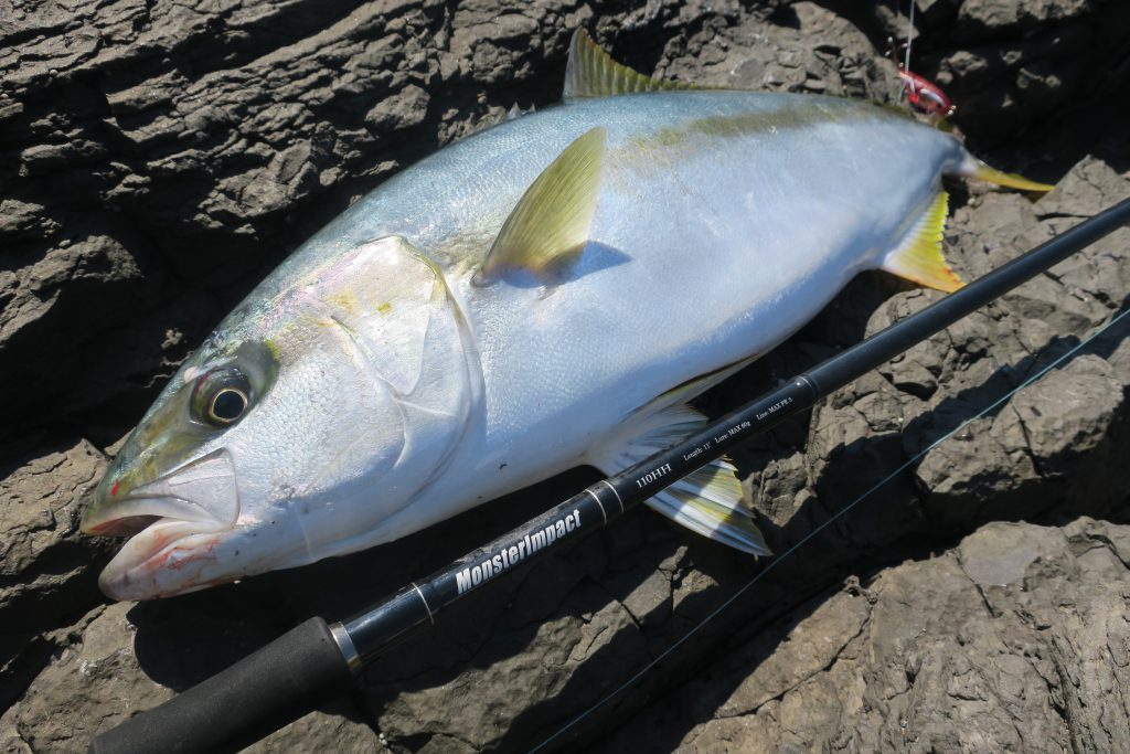 Ripple Fisher Monster Impact