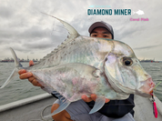 Endless Teal - Diamond Miner Micro TG Tungsten Jigs