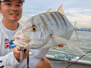 Endless Teal - Diamond Miner Micro TG Tungsten Jigs