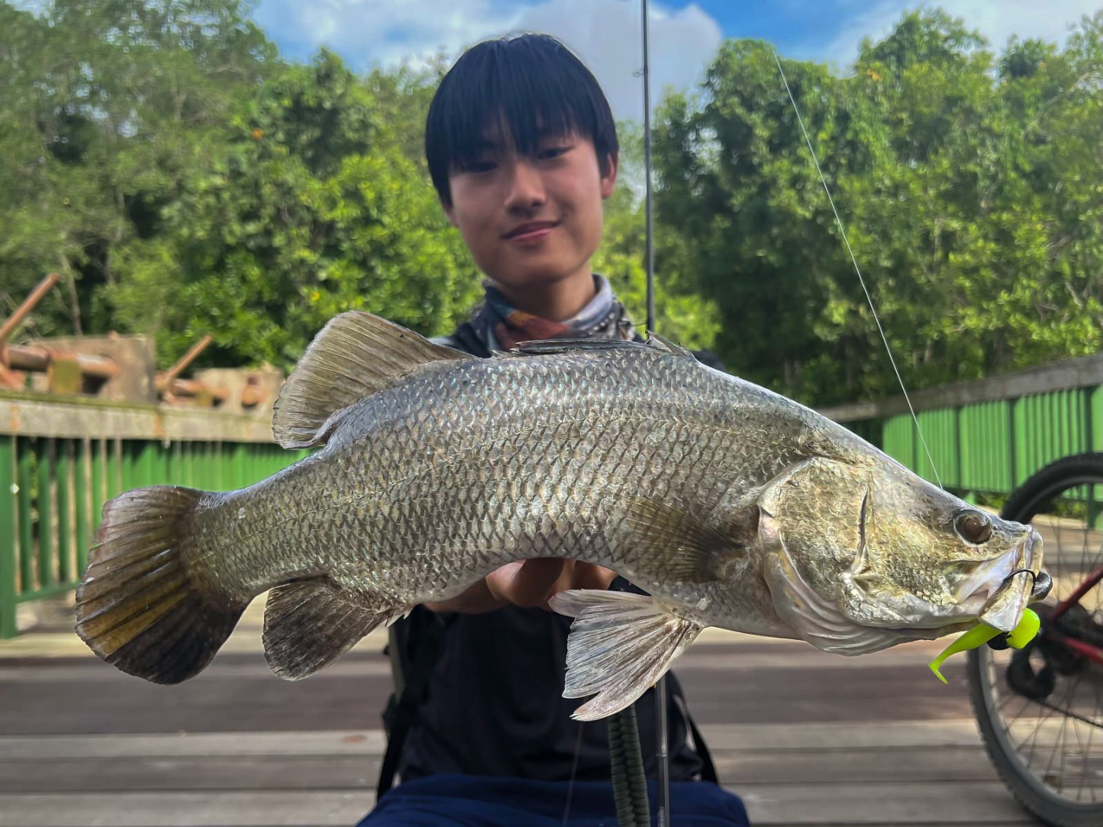 Endless Teal Freestyle Soft Plastics