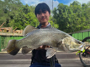 Endless Teal Freestyle Soft Plastics