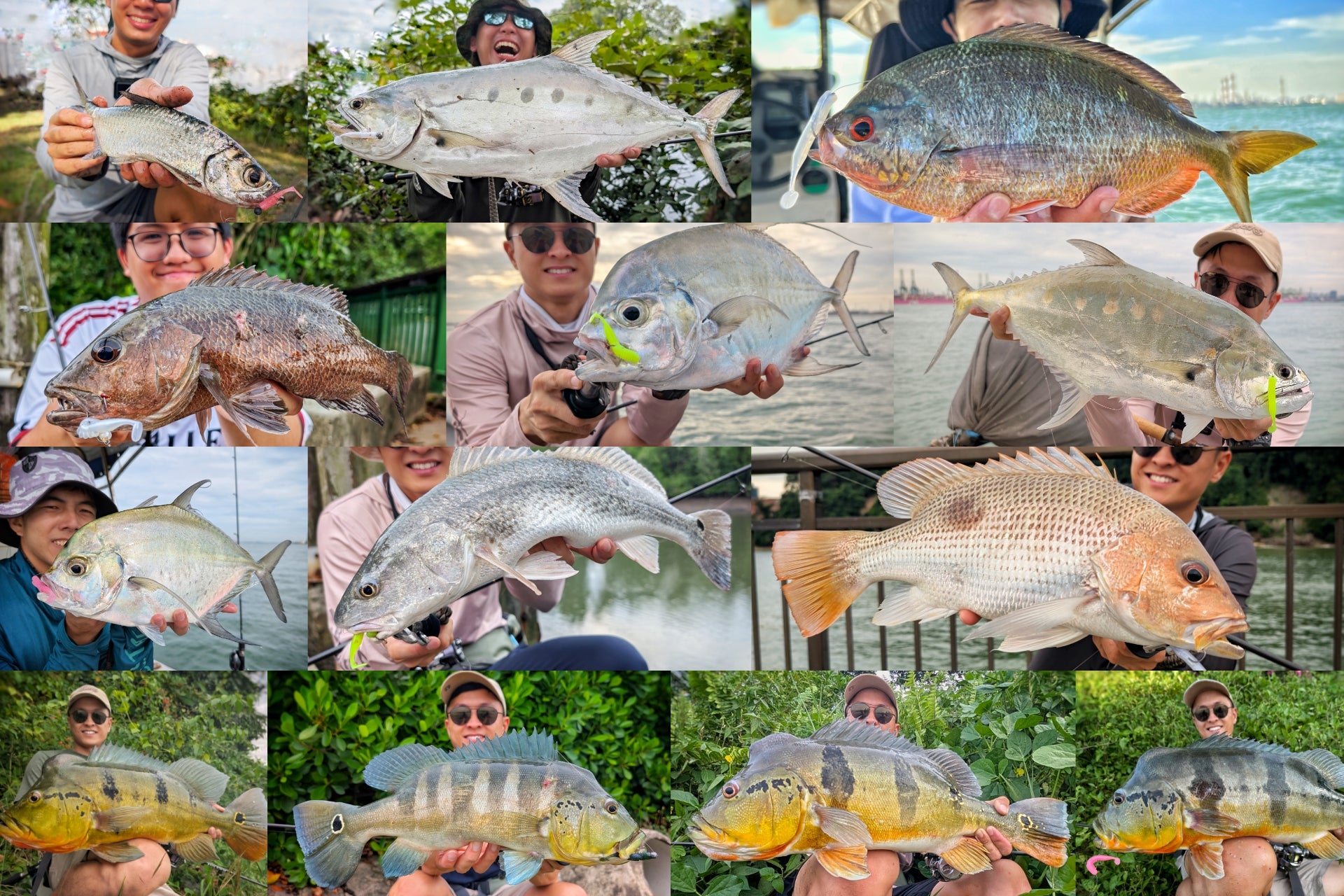 Endless Teal Freestyle Soft Plastics