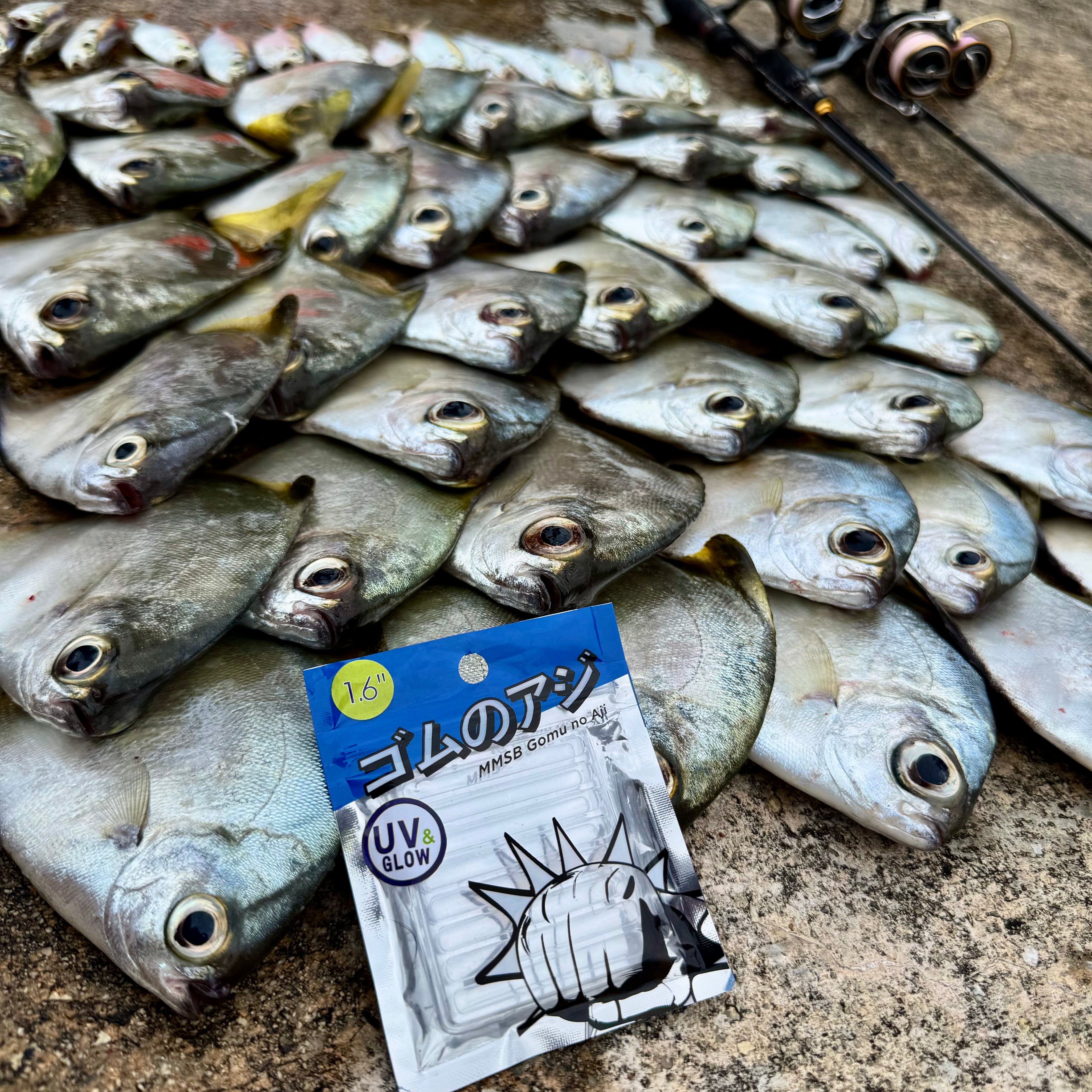 MMSB Gomu No Aji 1.6 Inch