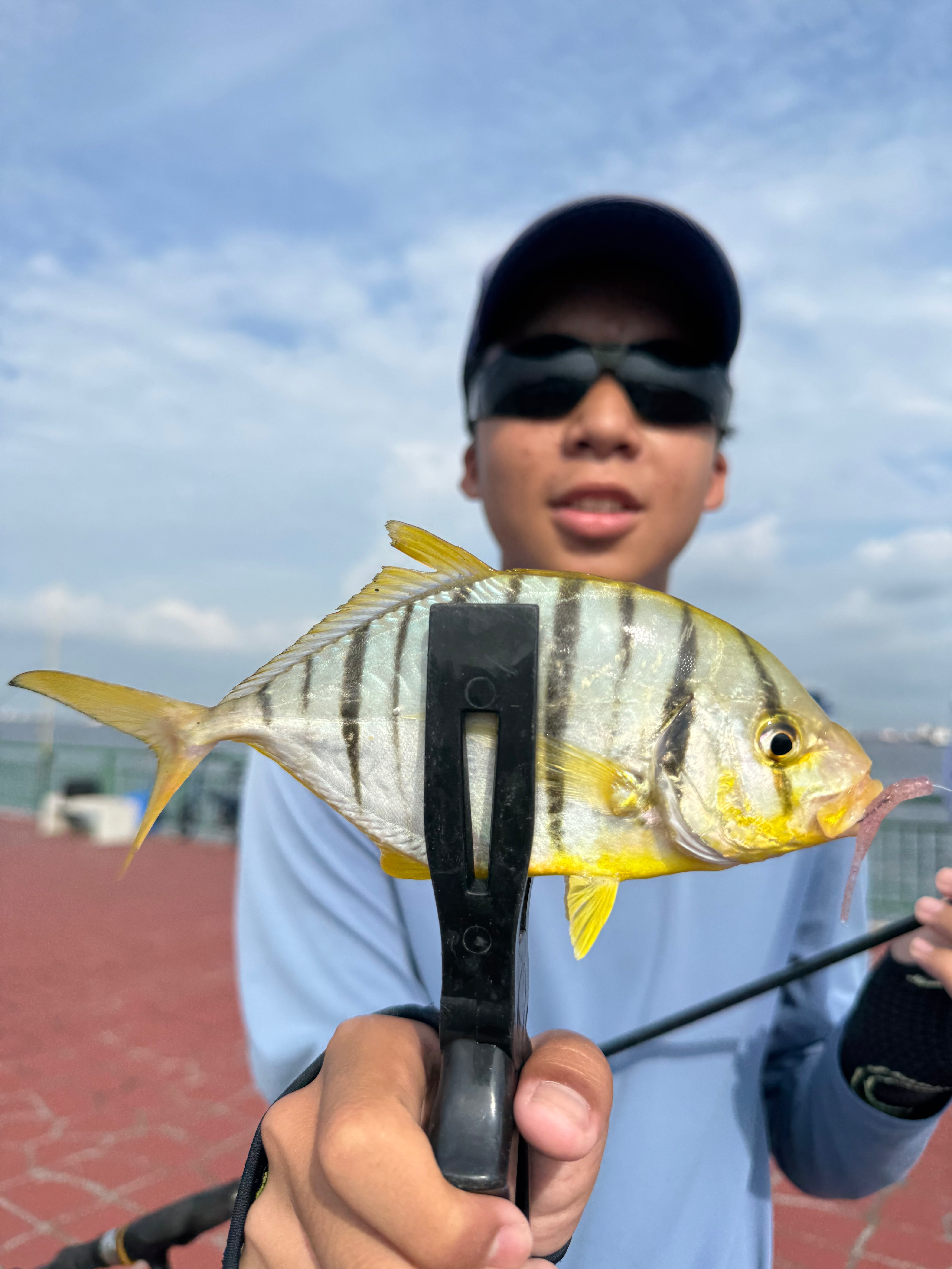 MMSB Gomu No Aji 1.6 Inch