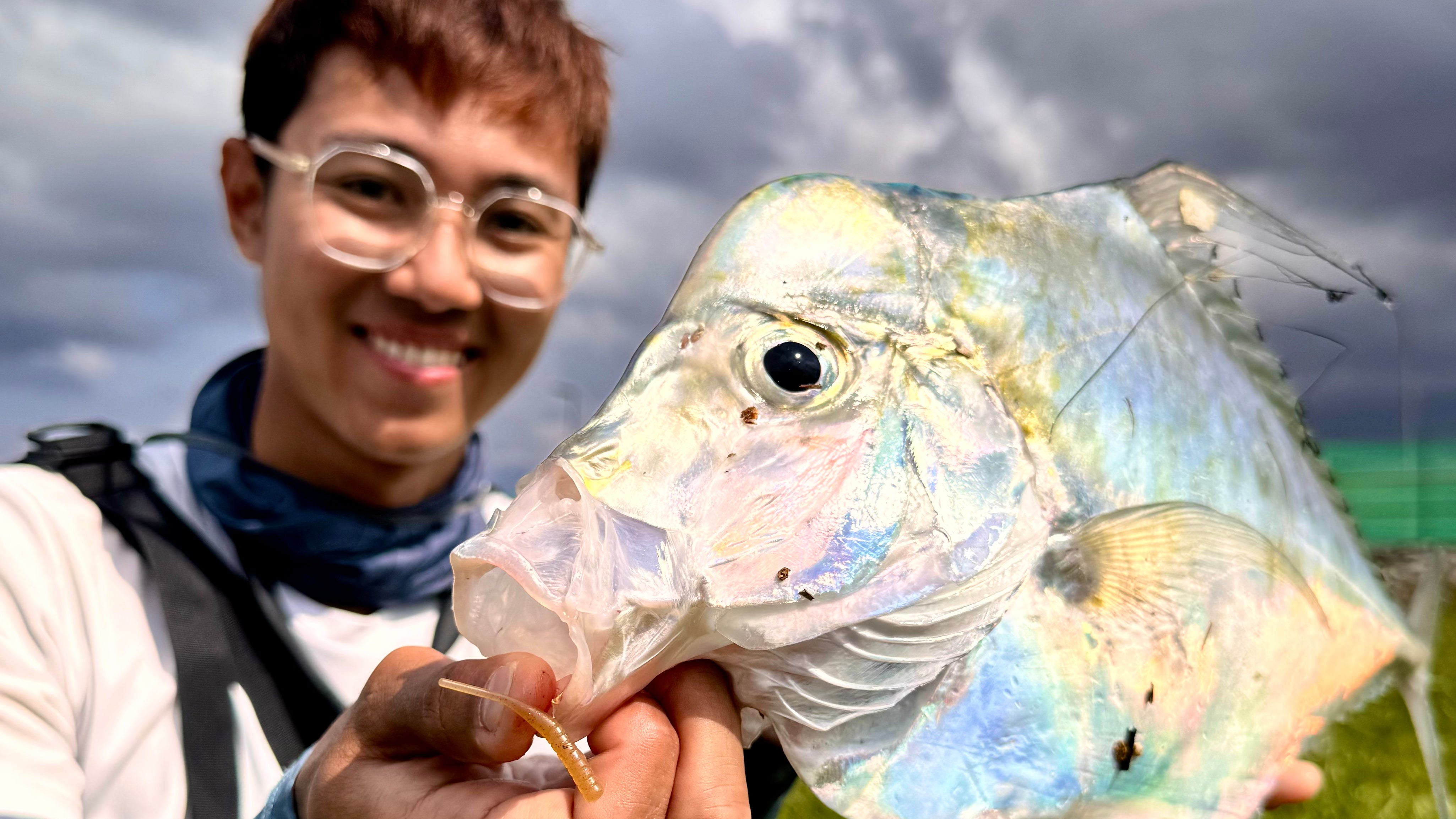 MMSB Gomu No Aji 1.6 Inch