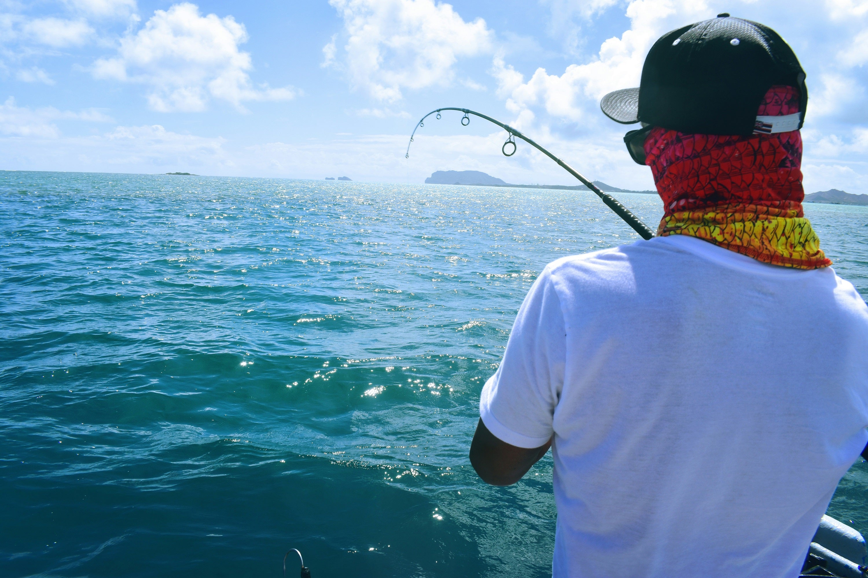 drew-farwell-a9JsPbN-R_A-unsplash_resized.jpg