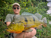 Endless Teal Freestyle Soft Plastics