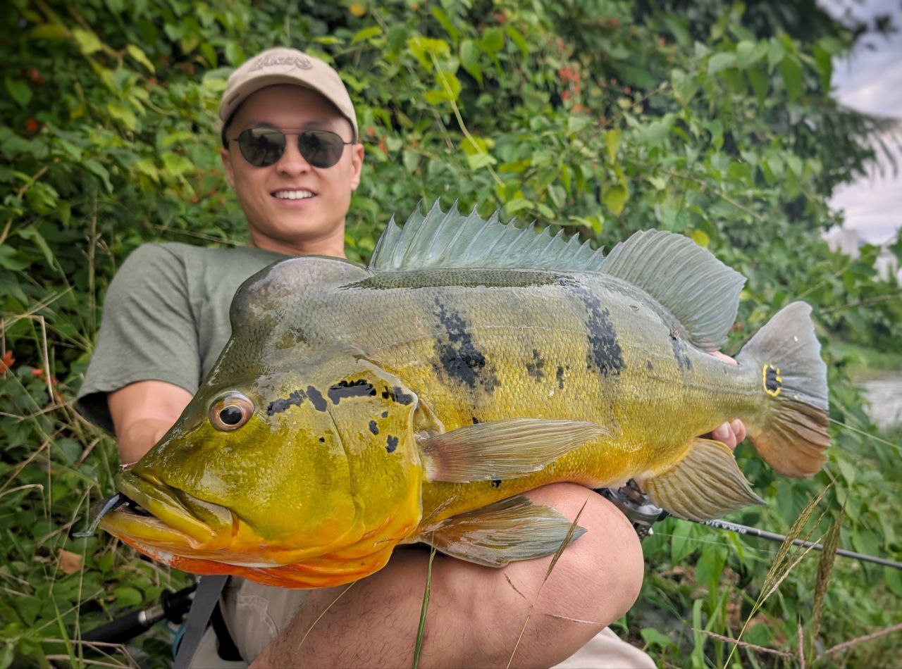 Endless Teal Freestyle Soft Plastics