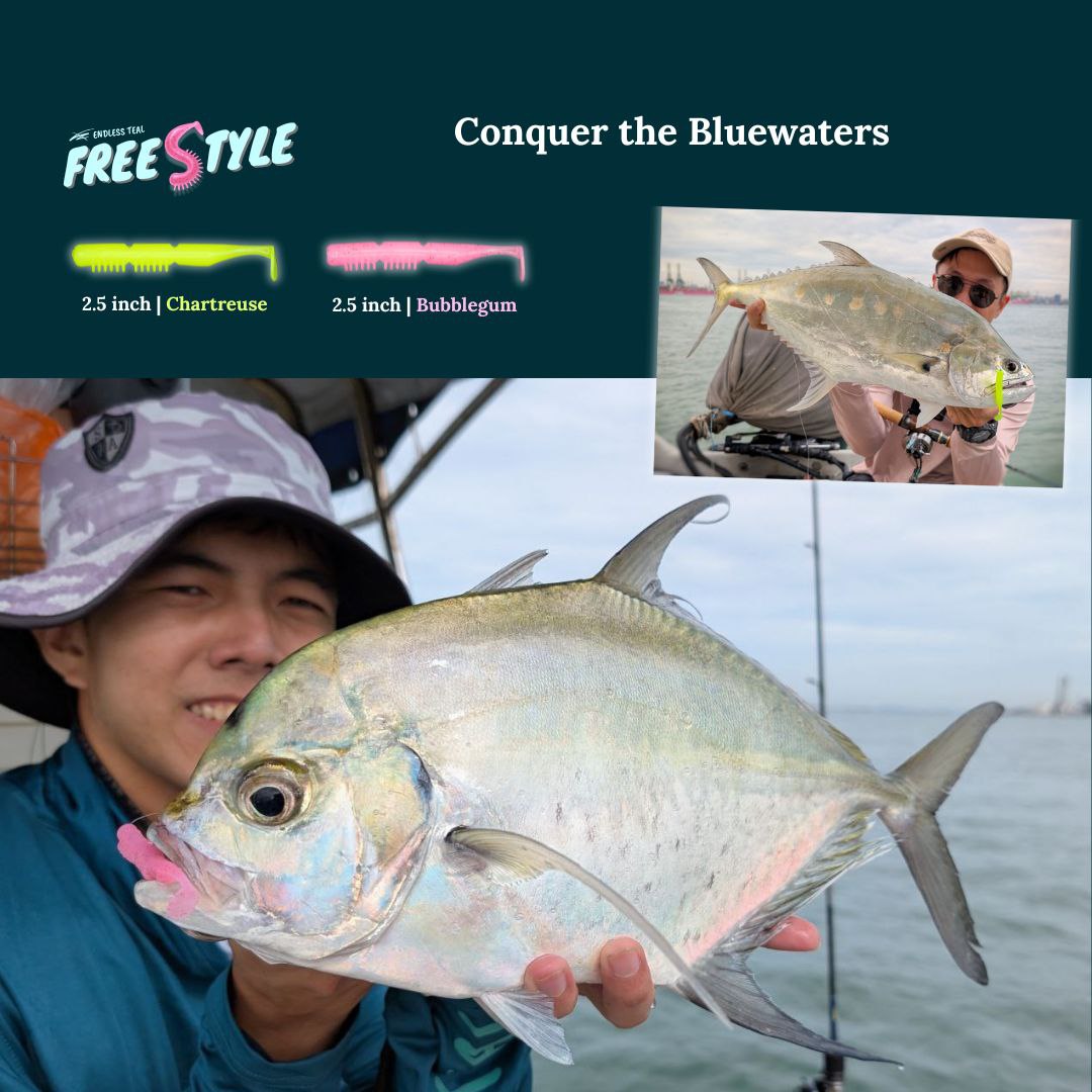 Endless Teal Freestyle Soft Plastics