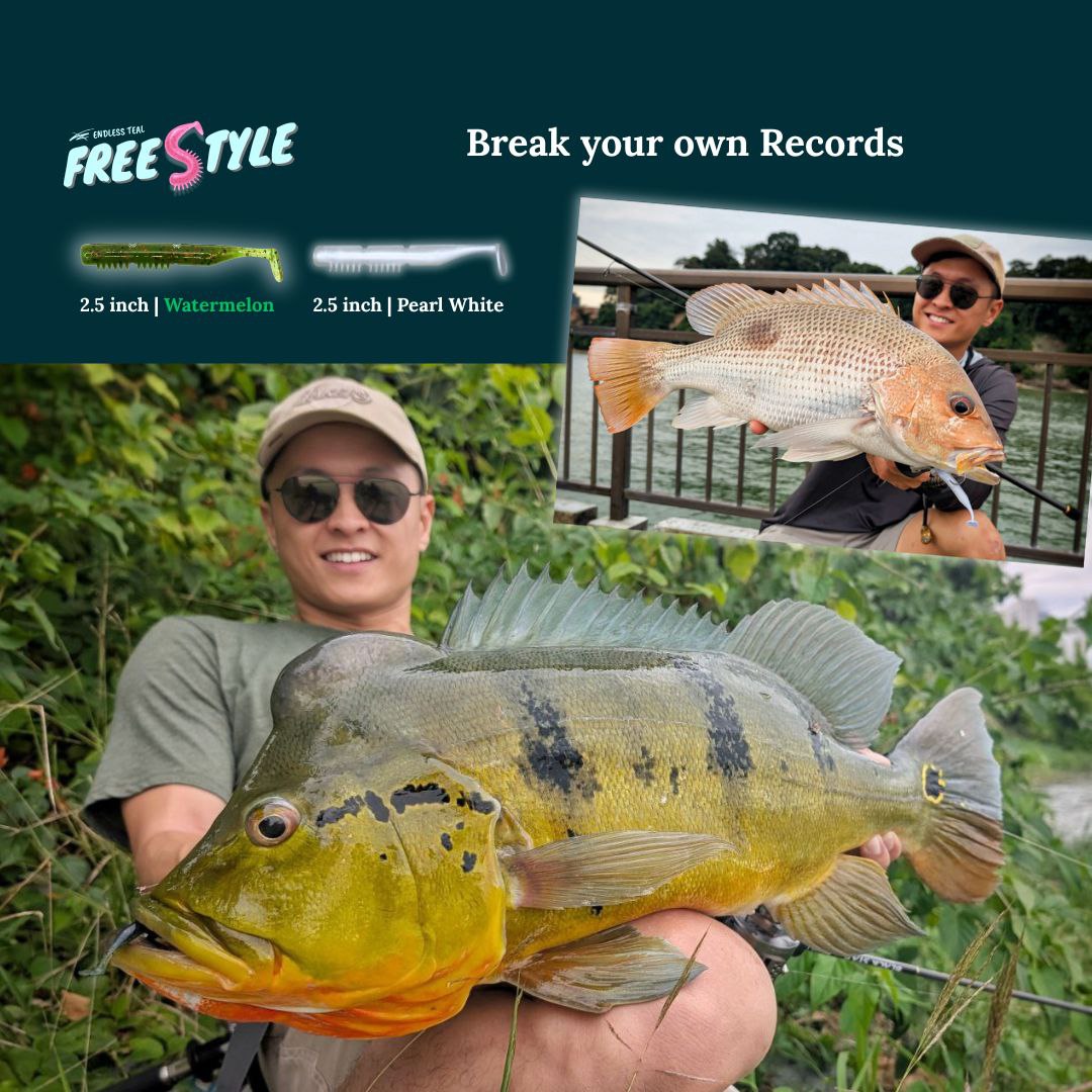 Endless Teal Freestyle Soft Plastics